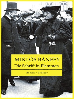 cover image of Die Schrift in Flammen
